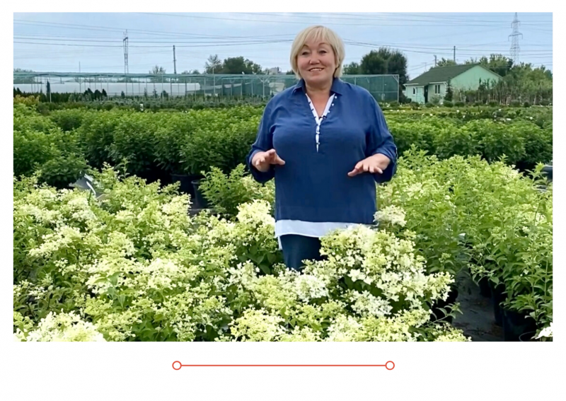 Россия 1 новый выпуск от 29.06.2021