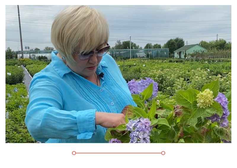 Новый выпуск "Дачные советы" от 17.06.2021