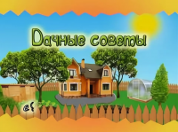 Не пропустите новый выпуск Дачных советов