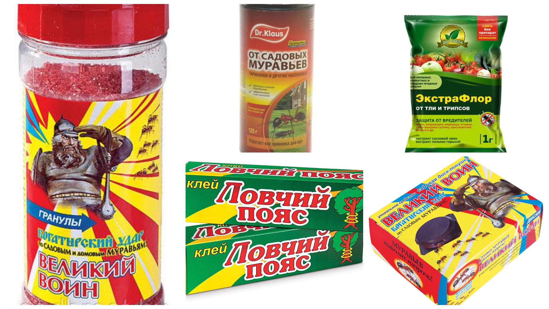 Средства от муравьёв на дачном участке Средства от муравьёв на дачном участке