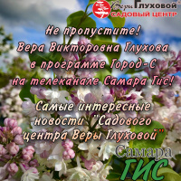 Эфир на Самара ГИС