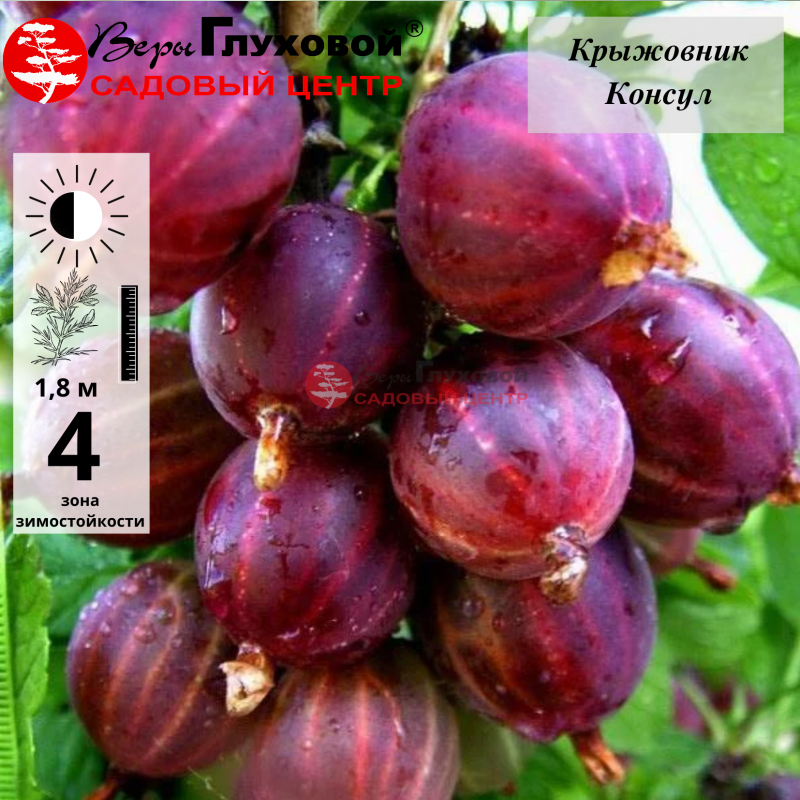 Рисунок 95.jpg