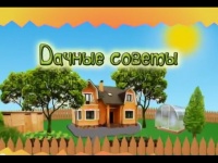 Изменилось время выхода в эфир передачи "Дачные советы"