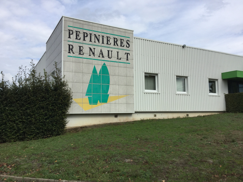 Французский питомник Renault Nurseries