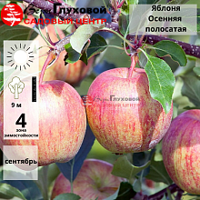 Основное изображение товара