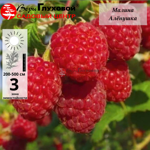 Рисунок 117.jpg