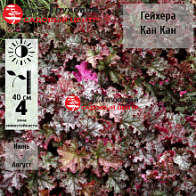 Основное изображение товара