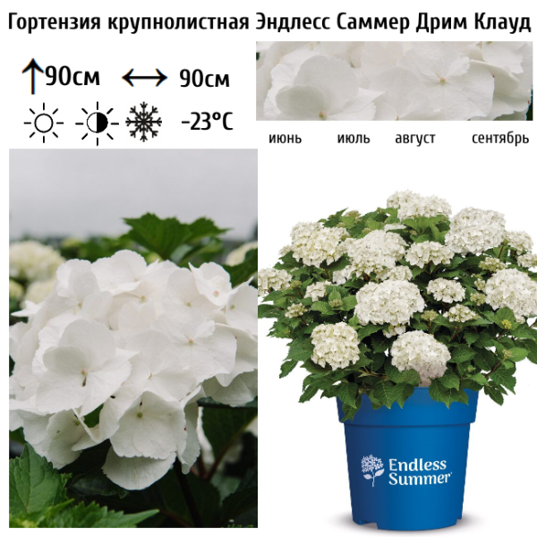 Основное изображение товара