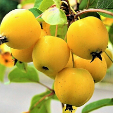 Рисунок 286.jpg