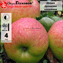 Рисунок 311.jpg