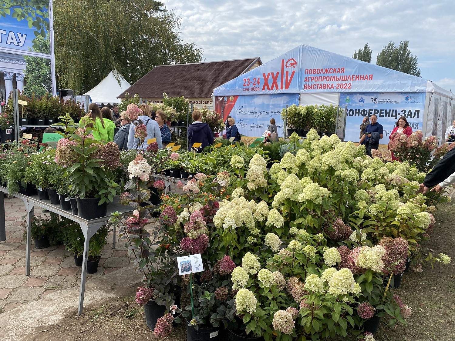 24 сентября с 12:00 до 13:00 на XXIV Поволжской агропромышленной выставке в п.Усть-Кинельский состоится семинар Веры Глуховой. Вход бесплатный
