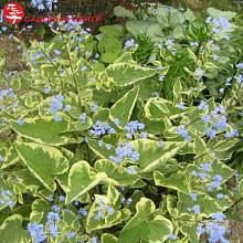 Основное изображение товара