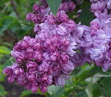 Основное изображение товара