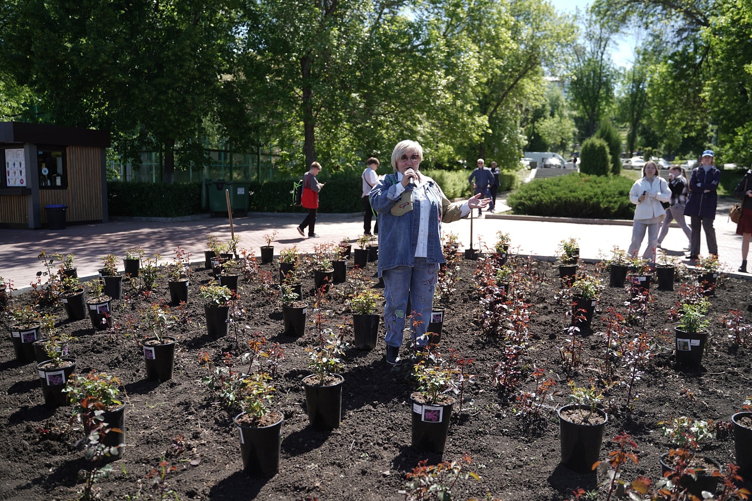 Посадили 99 роз на набережной Волги!