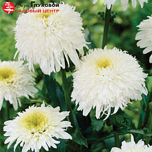 Основное изображение товара